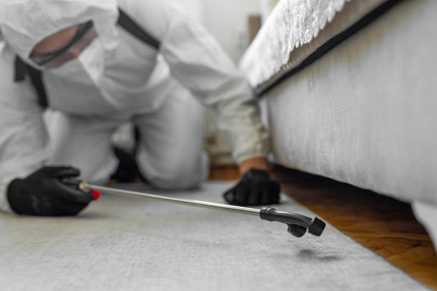 Professional Bed Bug Control technician working in Walton County County, FL
